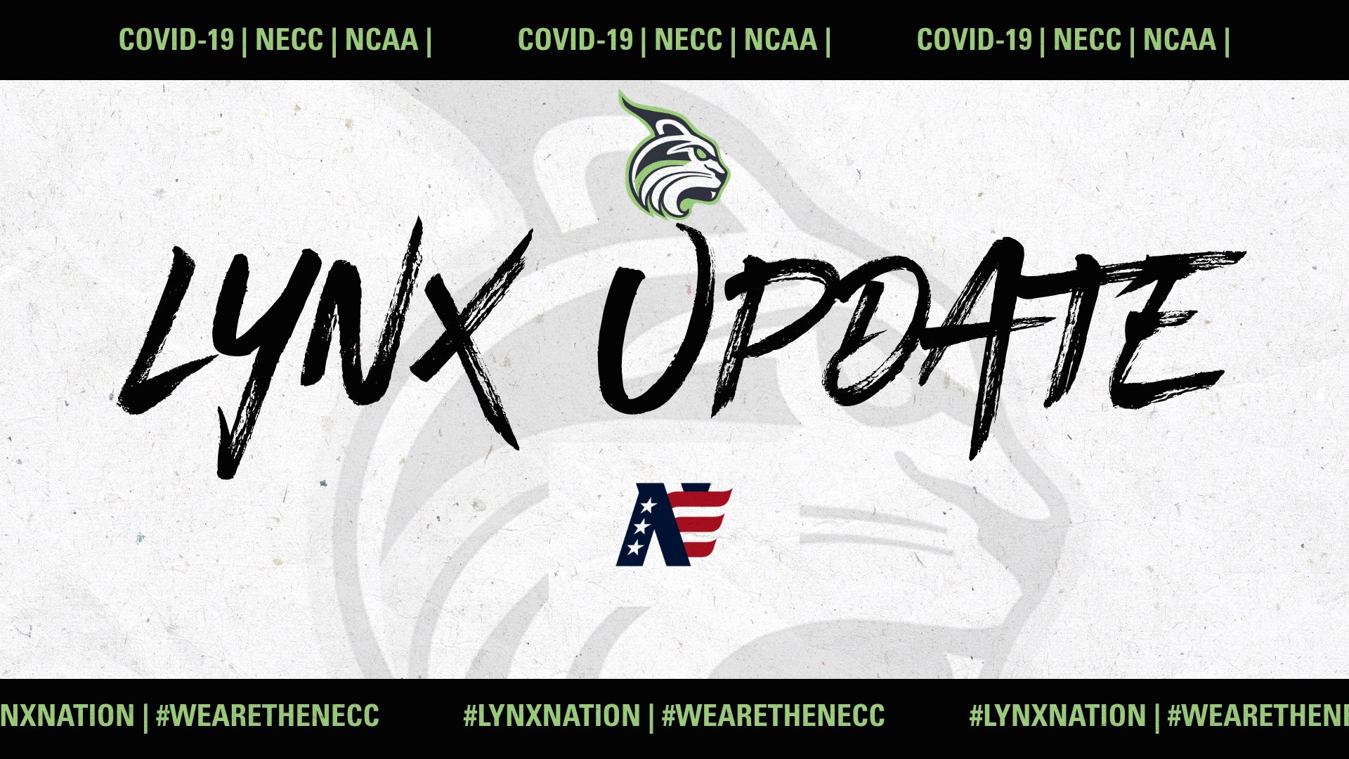 Lesley Athletics and NECC Cancel 2020 Spring Seasons