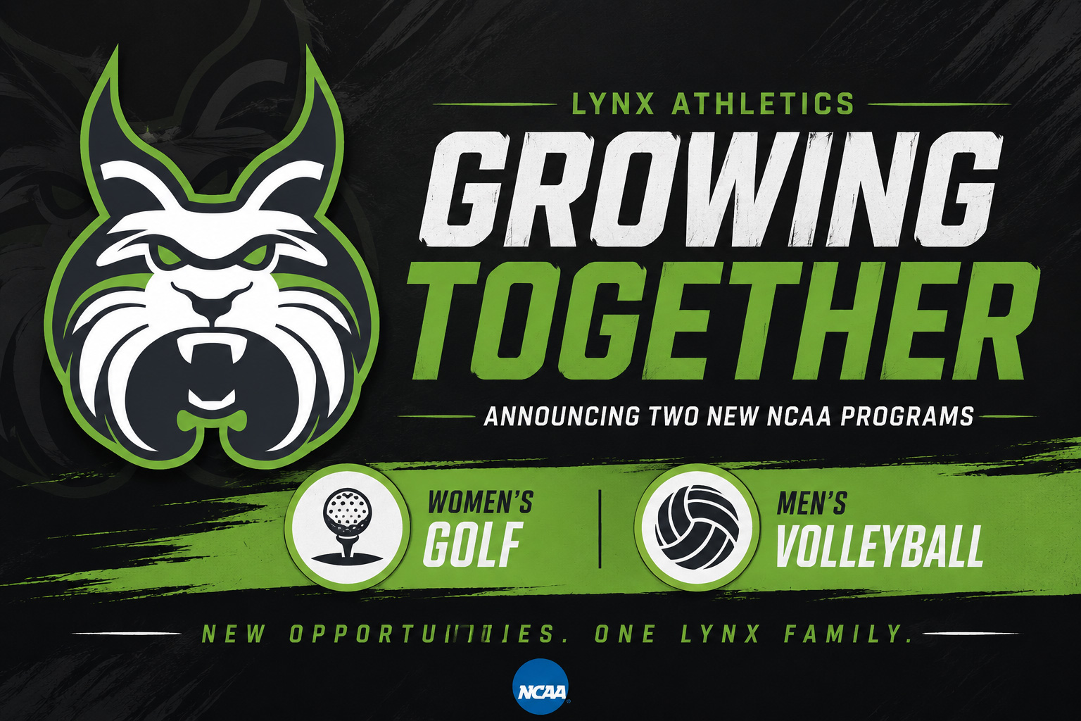 Lesley University to Add Women&rsquo;s Golf, Relaunch Men&rsquo;s Volleyball Beginning in 2027-28
