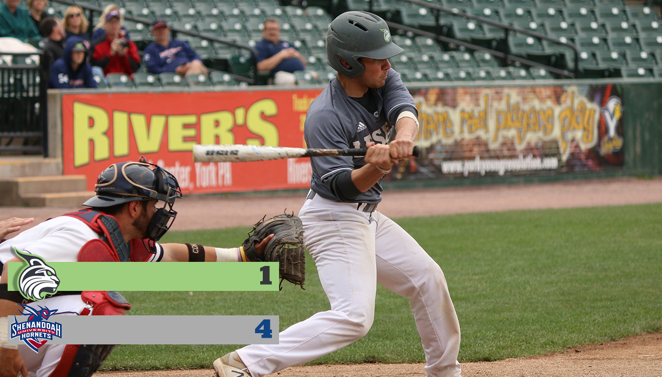 Lynx Program-Best Season Comes To A Close, Falling To Shenandoah