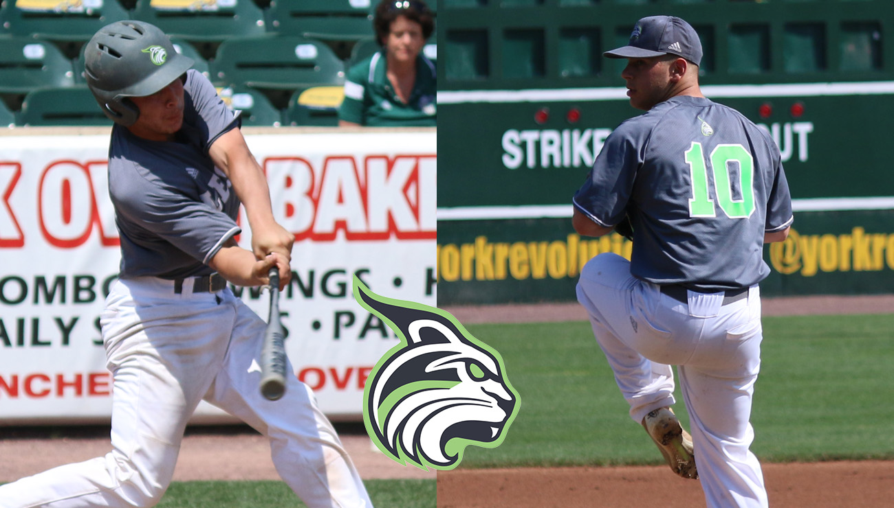 Lesley Baseball Opens Season With 3-1 Win