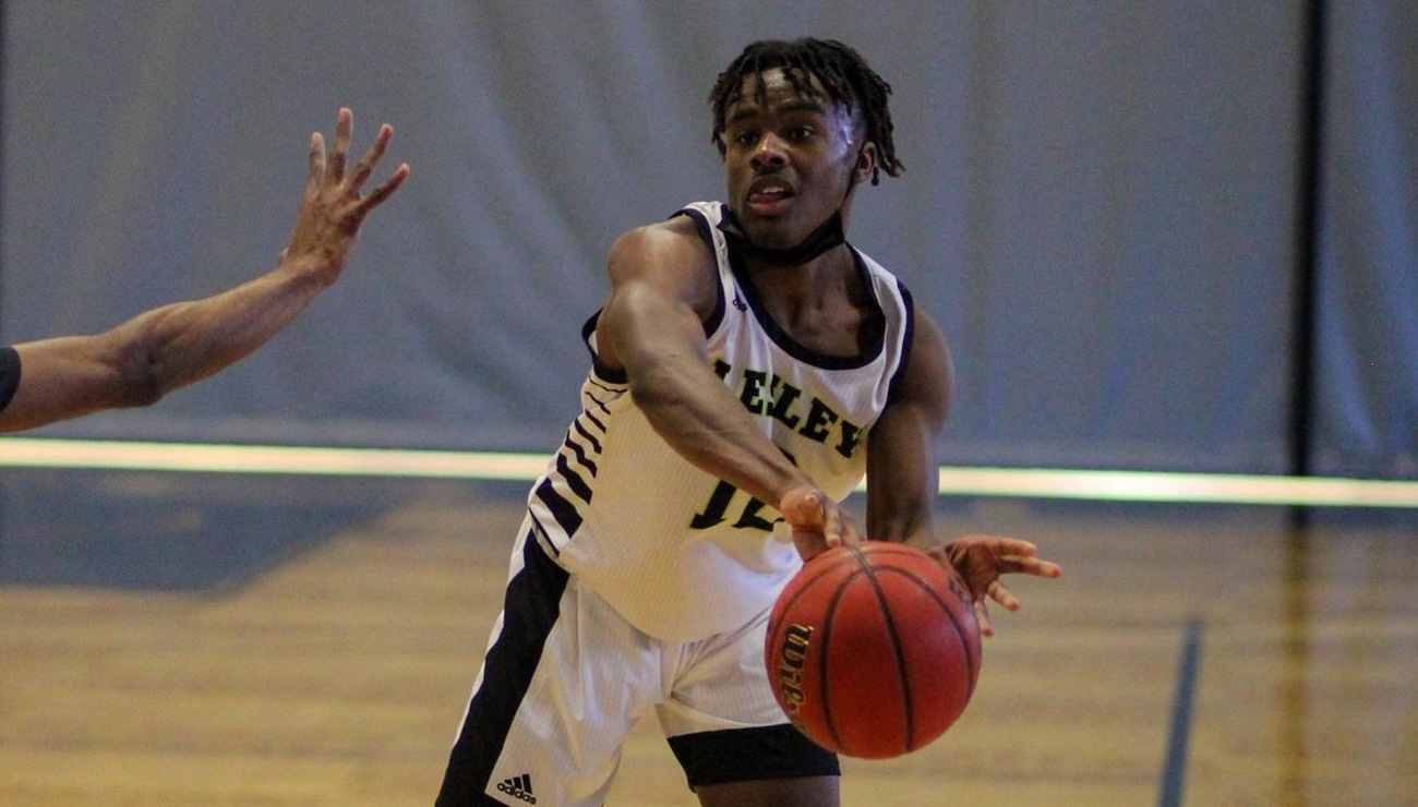 Lynx Can't Complete Comeback against Regis
