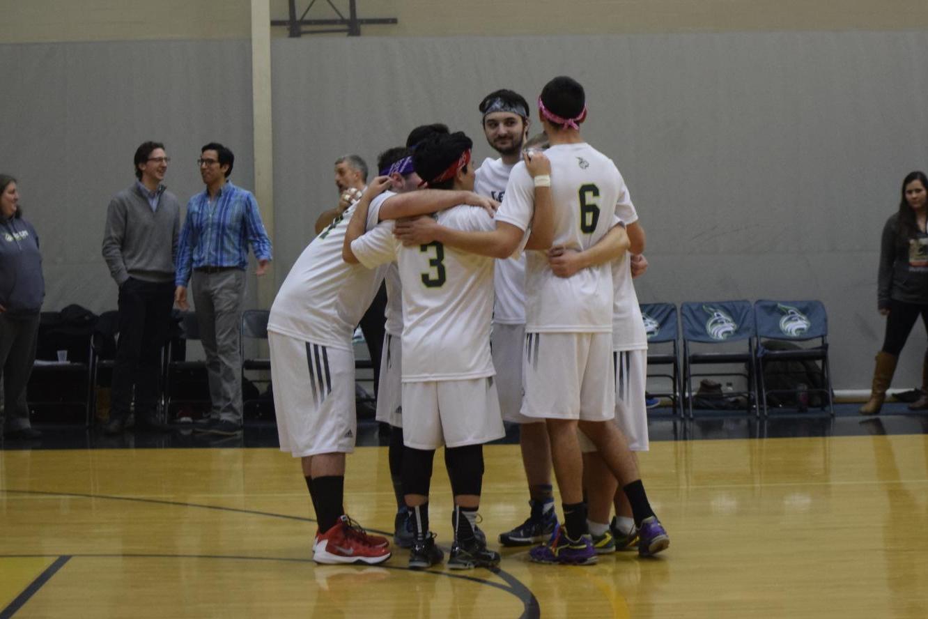 Strong Hitting Leads Endicott Past Men's Volleyball