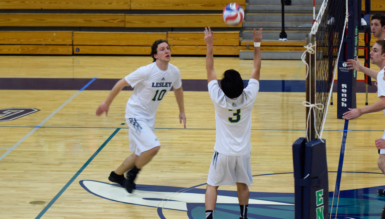 Balanced Effort Carries Endicott Past Men's Volleyball