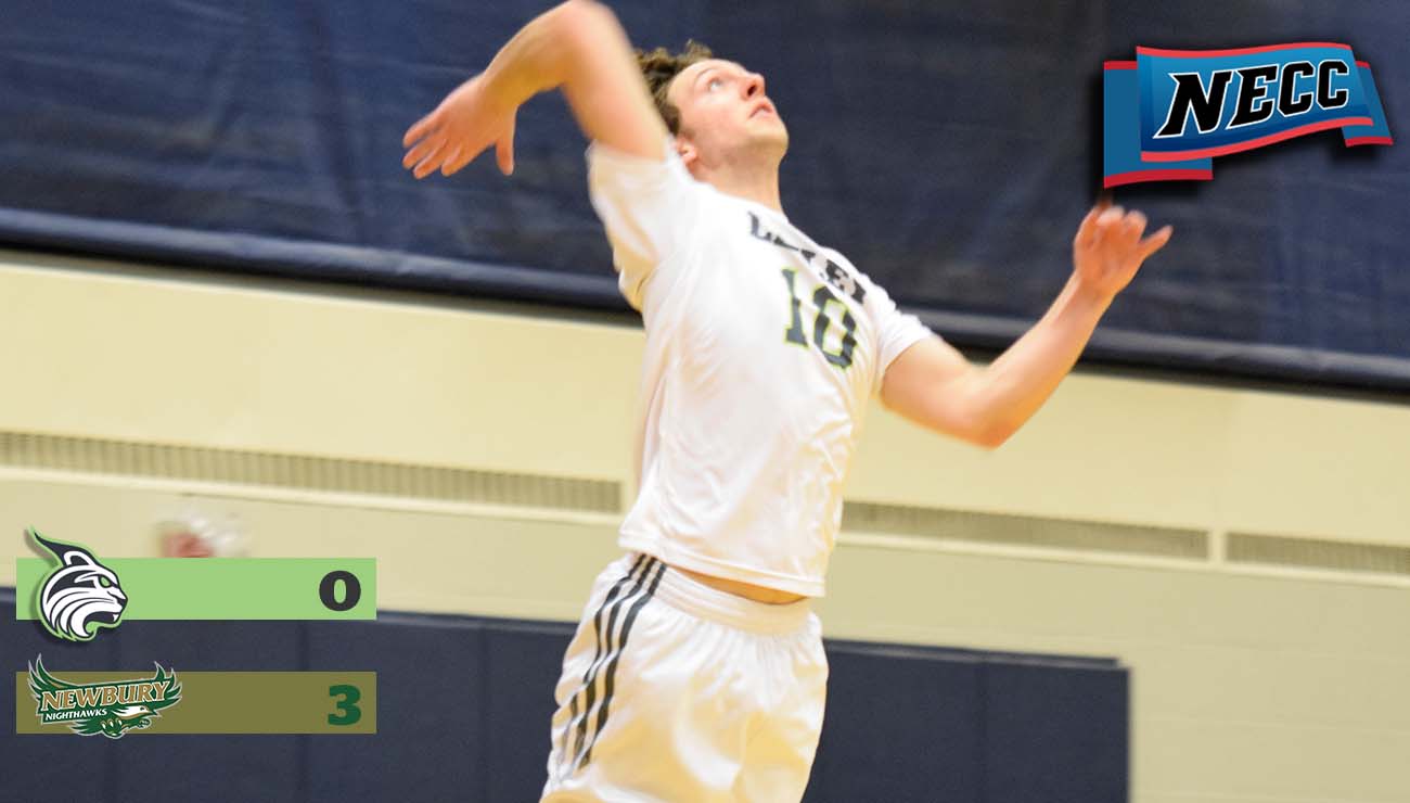 Lynx Drop Season Series to Nighthawks