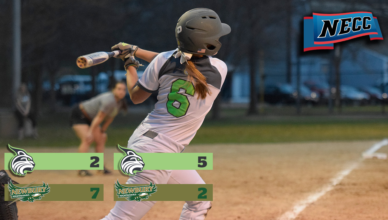 Lynx Lead Nighthawks 5-2 in Top 6th of Halted Game Two