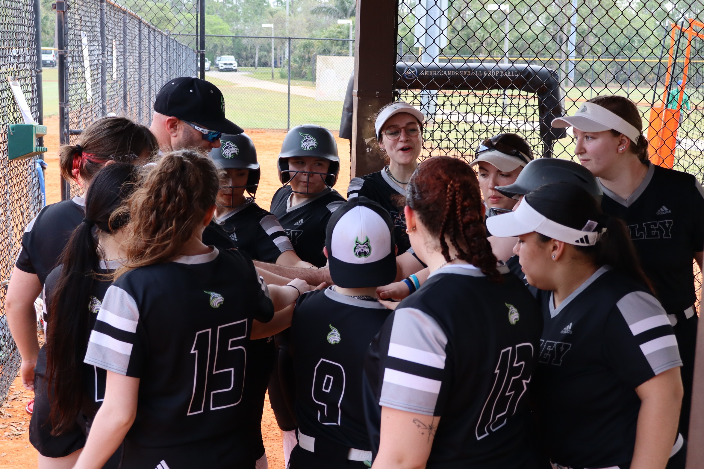 Softball Swept in NAC Finale at Thomas
