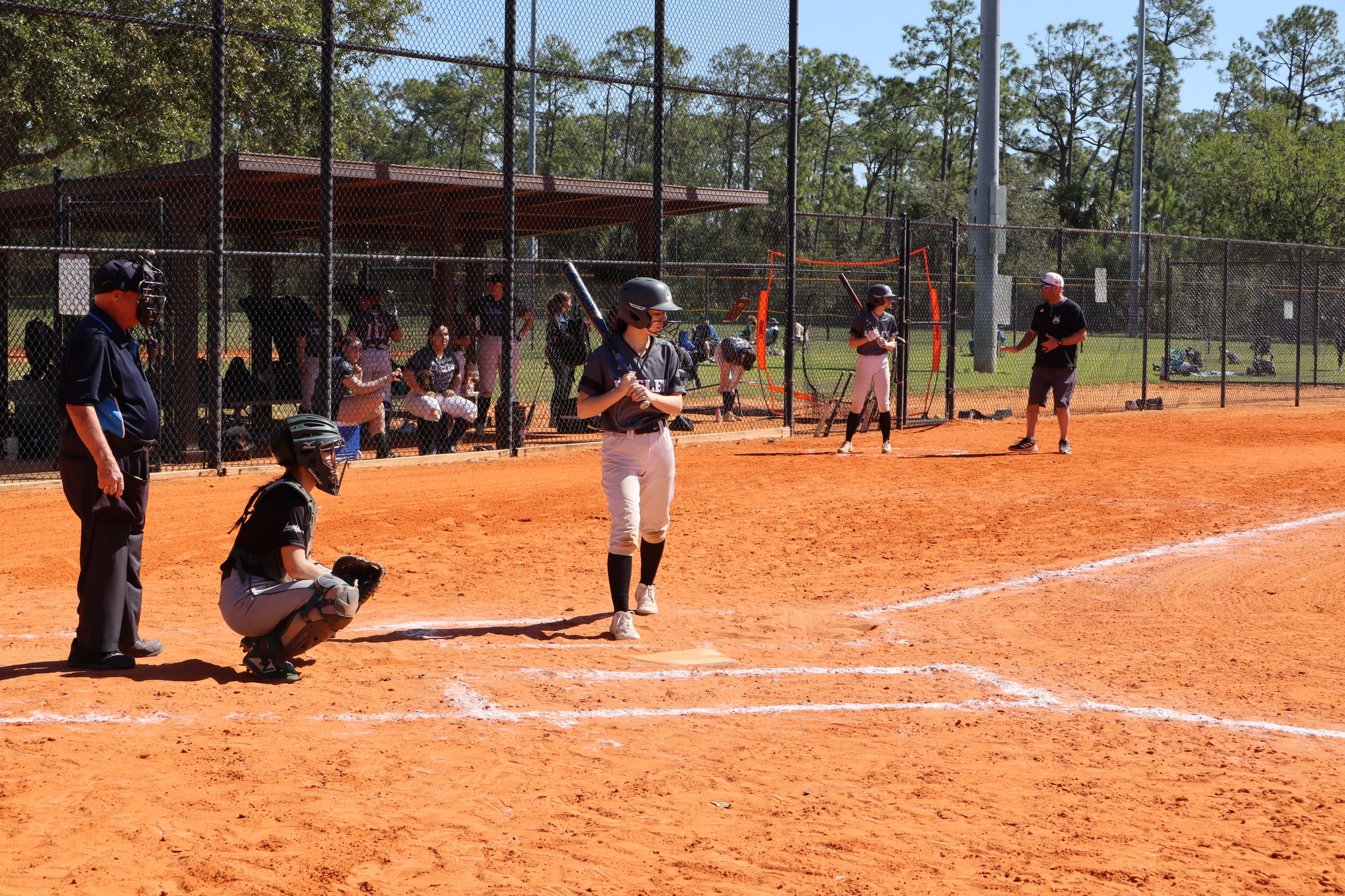 Softball Falls in NAC Doubleheader After Power Surge from Husson