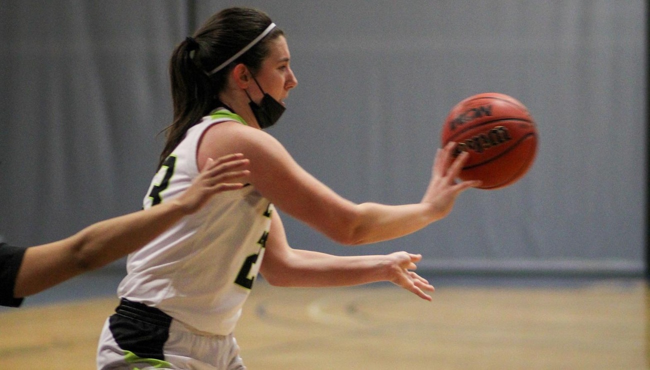 Lynx Lose to Lions in Conference Matchup
