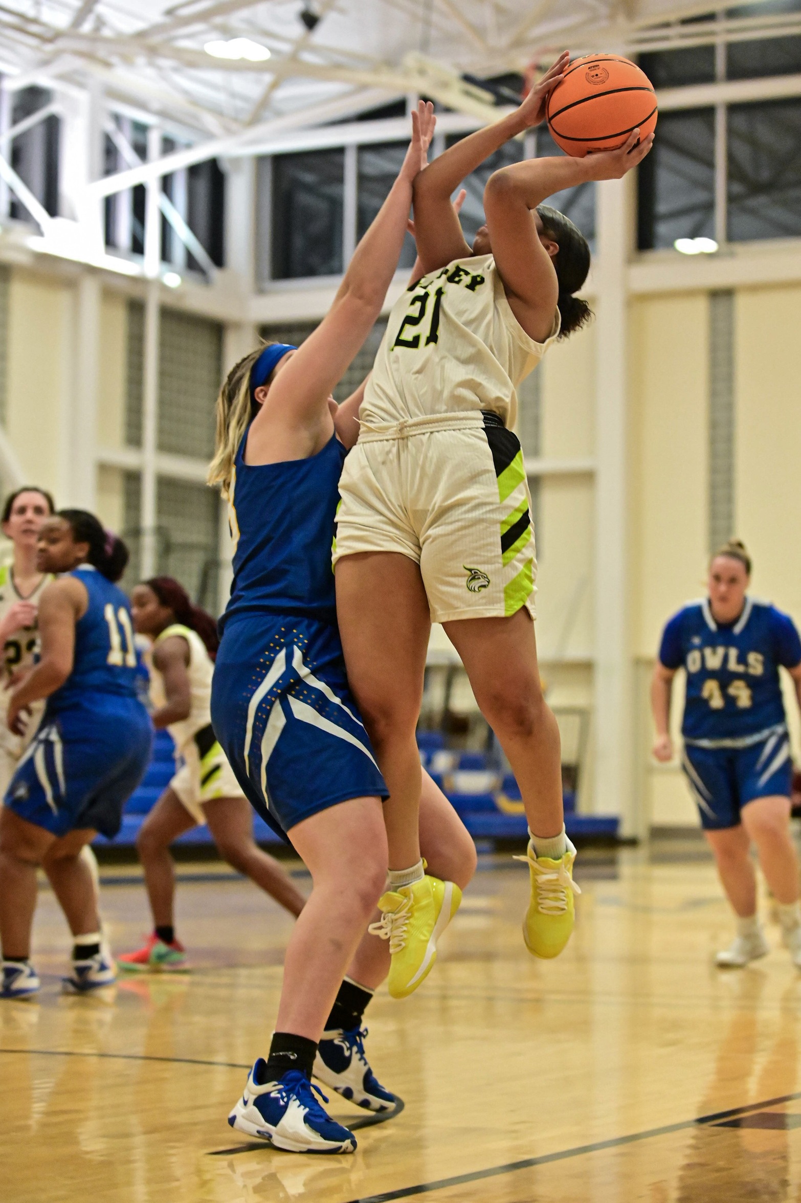 Women's Basketball Falls to UMaine Farmington 90-59 in NAC Matchup