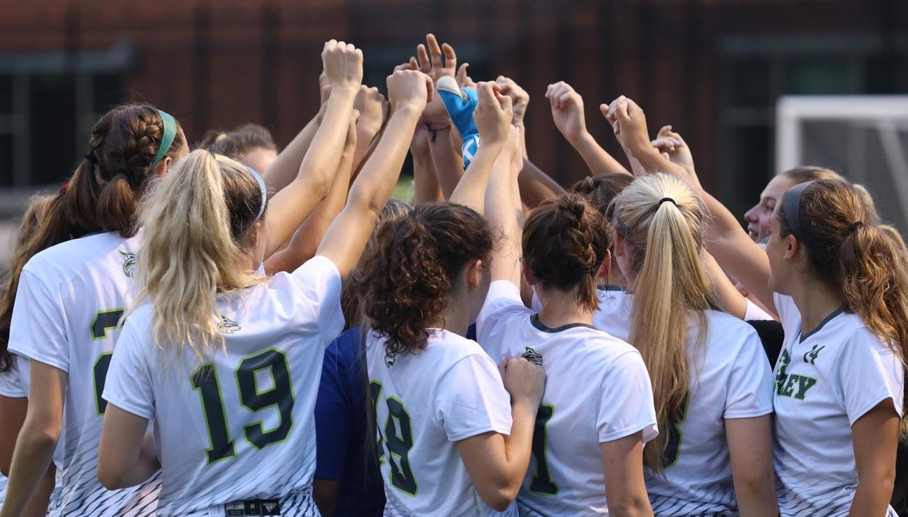 Lynx Fall to Engineers