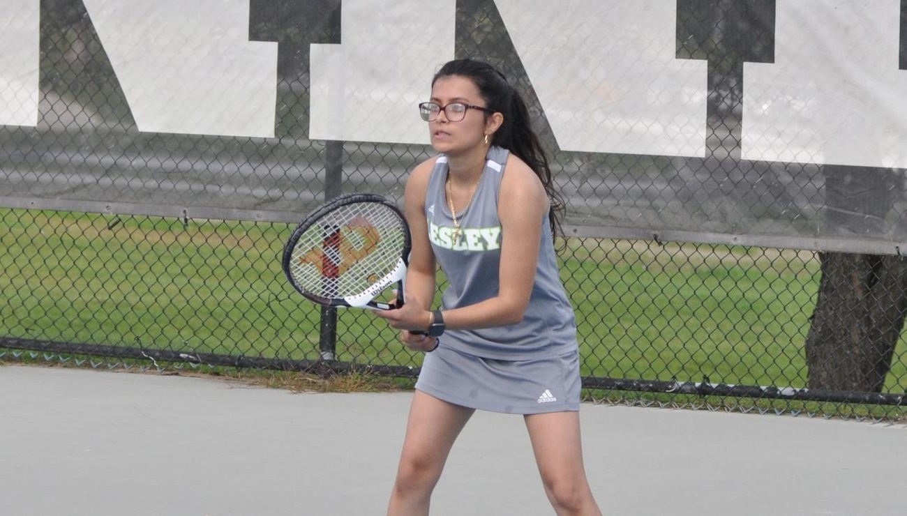 Lynx Fall To Husson 8-1