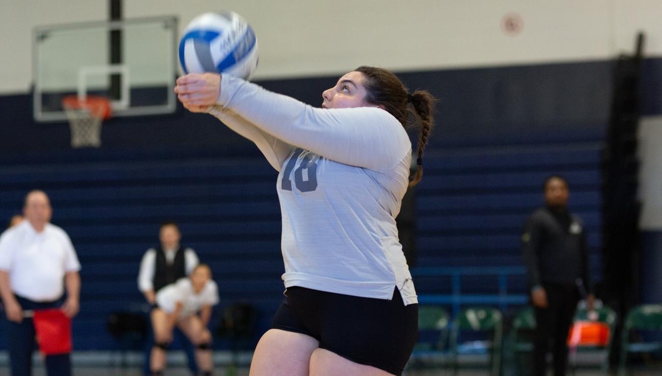 Lynx Fall to Regis in Three Sets