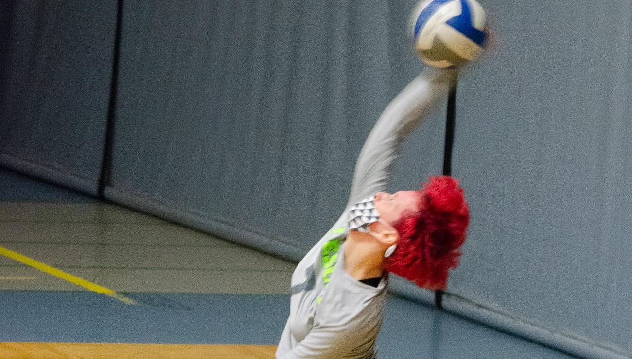 Lynx Fall to Vikings in Three Sets